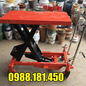Bàn nâng thủy lực 1000kg WP1000