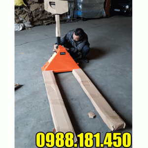 Xe nâng tay thấp 3 tấn Niuli