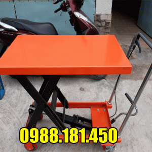 Bàn nâng thủy lực 300kg WP300