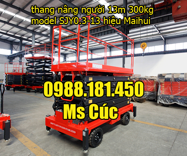 thang nâng người 13m 300kg