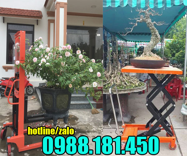 hình ảnh 2 mẫu xe nâng chậu hoa dùng cho nhà vườn